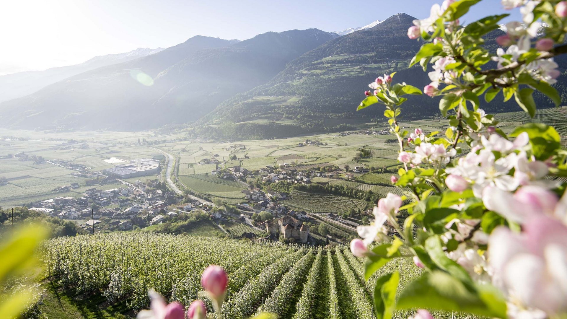 Un alloggio sul Lago di Resia, antico maso di contrabbandieri Un alloggio sul Lago di Resia, antico maso di contrabbandieri